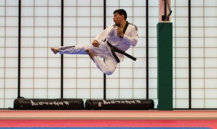 Karate jest jednym z bardzo popularnych sportów walki.