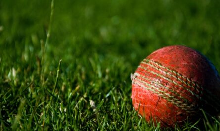 A ball in the grass used in a game called cricket.