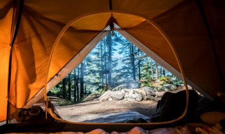 Ten wysokiej jakości namiot oferuje piękny widok na zewnątrz.