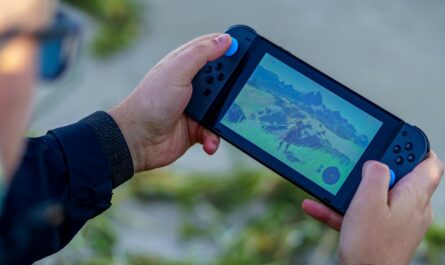 Die Zelda-Reihe auf einer Handheld-Konsole spielen.